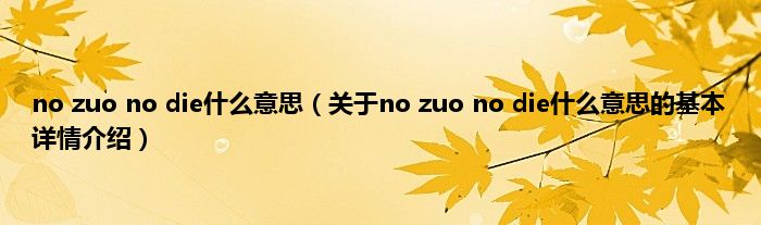 no zuo no die什么意思（关于no zuo no die什么意思的基本详情介绍）