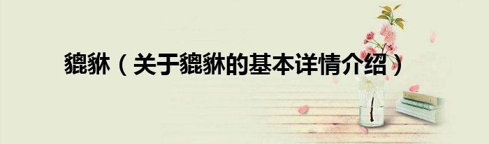 貔貅（关于貔貅的基本详情介绍）