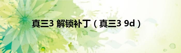 真三3 解锁补丁（真三3 9d）