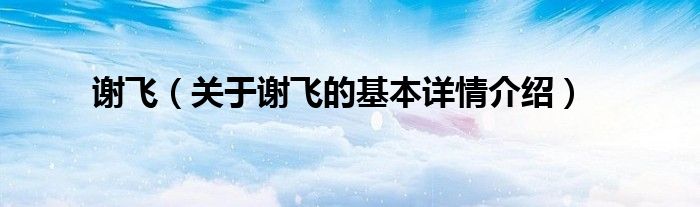 谢飞（关于谢飞的基本详情介绍）