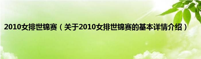 2010女排世锦赛（关于2010女排世锦赛的基本详情介绍）
