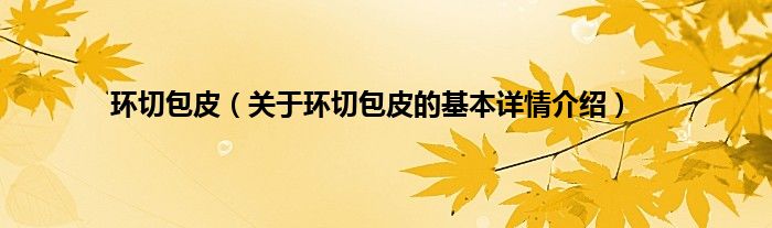 环切包皮（关于环切包皮的基本详情介绍）