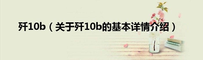 歼10b（关于歼10b的基本详情介绍）