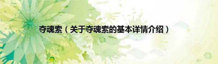夺魂索（关于夺魂索的基本详情介绍）