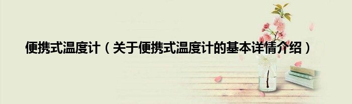 便携式温度计（关于便携式温度计的基本详情介绍）