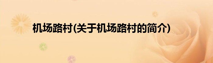 机场路村(关于机场路村的简介)