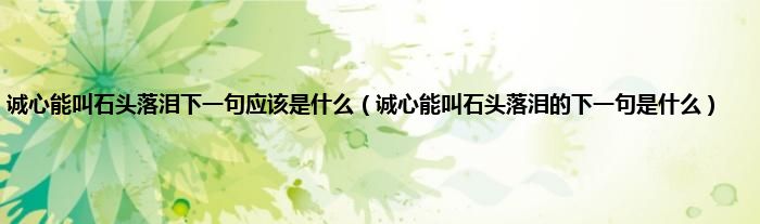 诚心能叫石头落泪下一句应该是什么（诚心能叫石头落泪的下一句是什么）