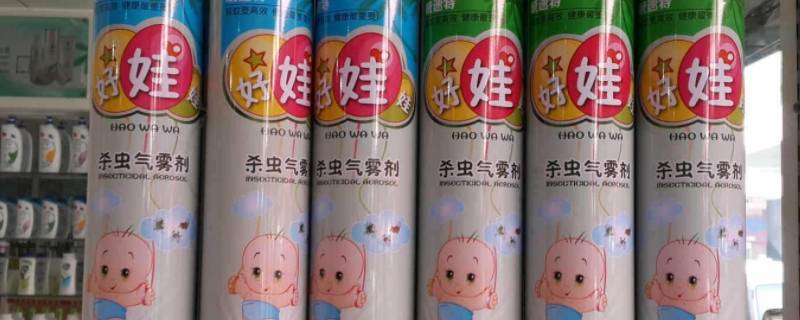 钱串子虫子怎么去除