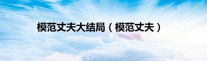 模范丈夫大结局（模范丈夫）