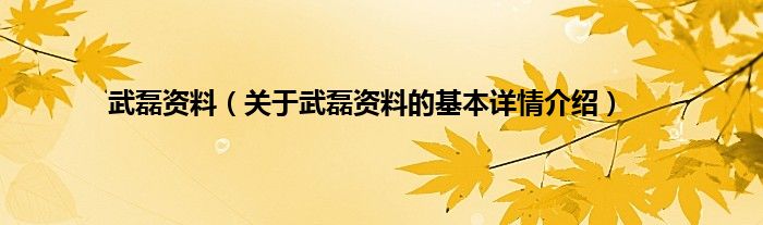 武磊资料（关于武磊资料的基本详情介绍）
