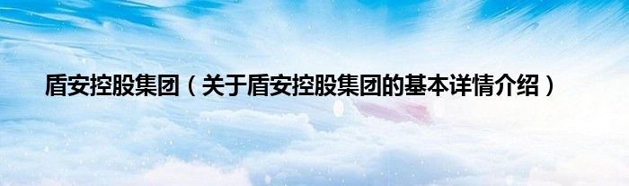 盾安控股集团（关于盾安控股集团的基本详情介绍）