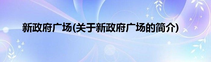新政府广场(关于新政府广场的简介)