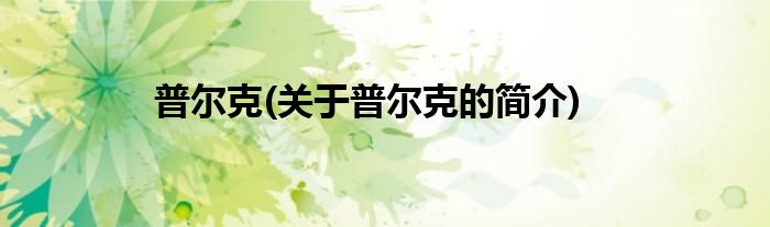 普尔克(关于普尔克的简介)