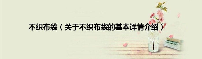 不织布袋（关于不织布袋的基本详情介绍）