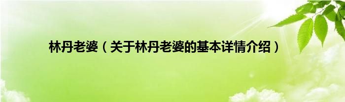 林丹老婆（关于林丹老婆的基本详情介绍）