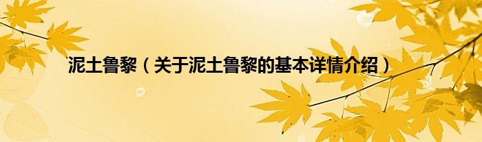 泥土鲁黎（关于泥土鲁黎的基本详情介绍）