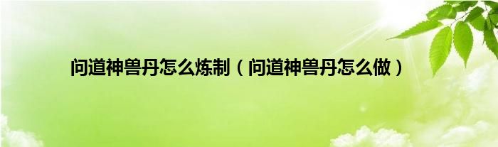 问道神兽丹怎么炼制（问道神兽丹怎么做）