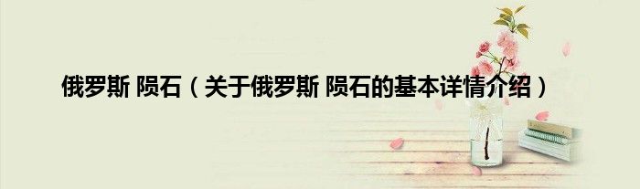 俄罗斯 陨石（关于俄罗斯 陨石的基本详情介绍）