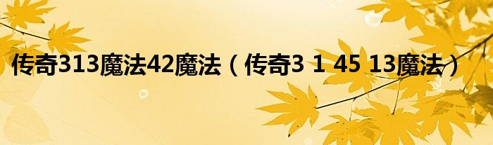 传奇313魔法42魔法（传奇3 1 45 13魔法）