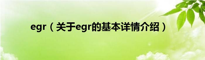 egr（关于egr的基本详情介绍）