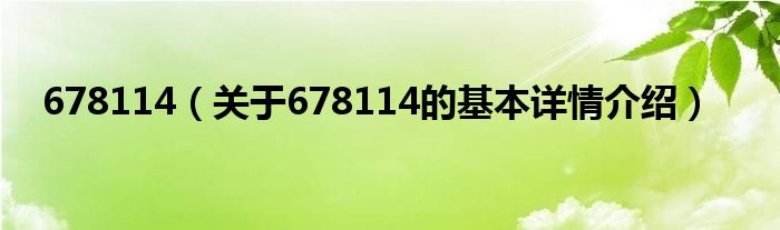 678114（关于678114的基本详情介绍）