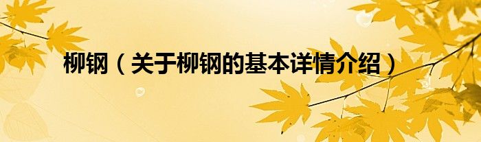 柳钢（关于柳钢的基本详情介绍）