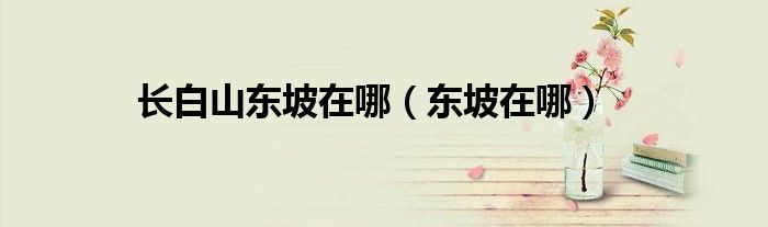 长白山东坡在哪（东坡在哪）