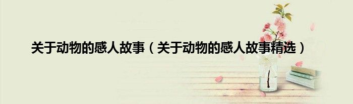 关于动物的感人故事（关于动物的感人故事精选）