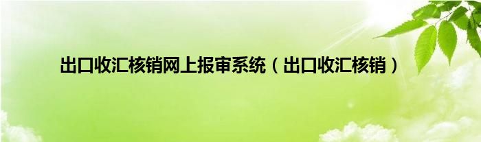 出口收汇核销网上报审系统（出口收汇核销）
