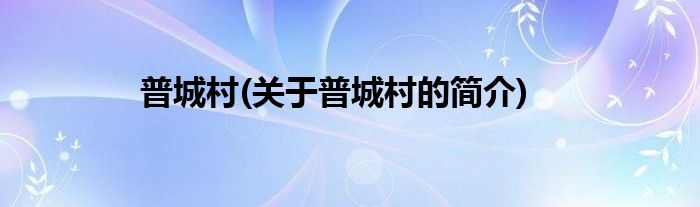 普城村(关于普城村的简介)