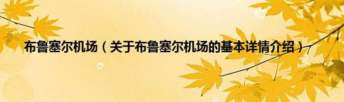 布鲁塞尔机场（关于布鲁塞尔机场的基本详情介绍）