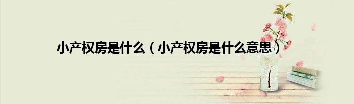 小产权房是什么（小产权房是什么意思）