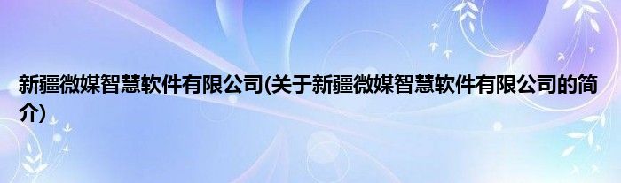 新疆微媒智慧软件有限公司(关于新疆微媒智慧软件有限公司的简介)