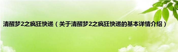 清醒梦2之疯狂快递（关于清醒梦2之疯狂快递的基本详情介绍）