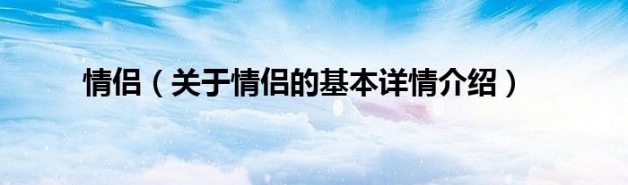 情侣（关于情侣的基本详情介绍）