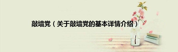 敲墙党（关于敲墙党的基本详情介绍）