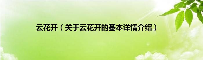 云花开（关于云花开的基本详情介绍）