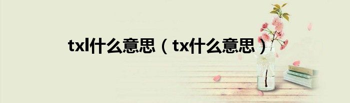 txl什么意思（tx什么意思）