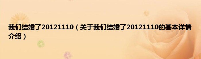 我们结婚了20121110（关于我们结婚了20121110的基本详情介绍）
