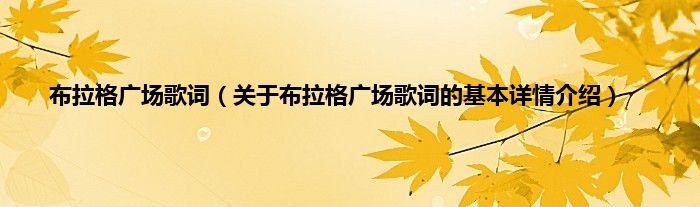 布拉格广场歌词（关于布拉格广场歌词的基本详情介绍）