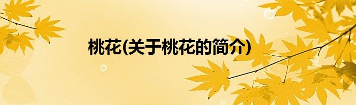桃花(关于桃花的简介)