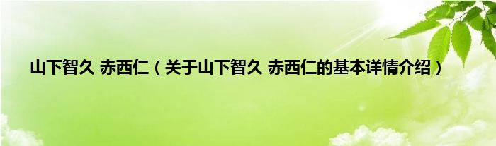 山下智久 赤西仁（关于山下智久 赤西仁的基本详情介绍）