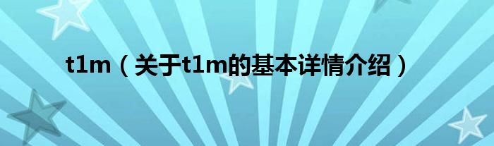 t1m（关于t1m的基本详情介绍）