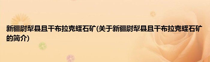 新疆尉犁县且干布拉克蛭石矿(关于新疆尉犁县且干布拉克蛭石矿的简介)