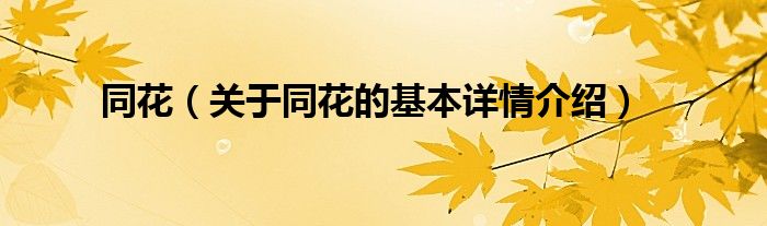 同花（关于同花的基本详情介绍）