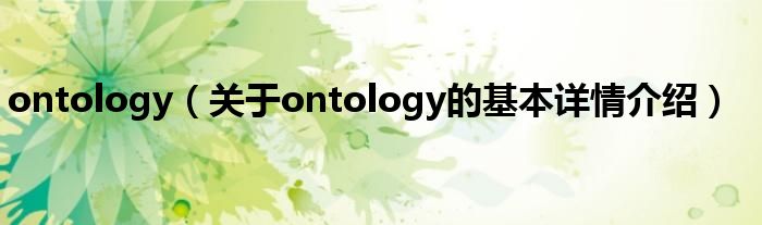 ontology（关于ontology的基本详情介绍）