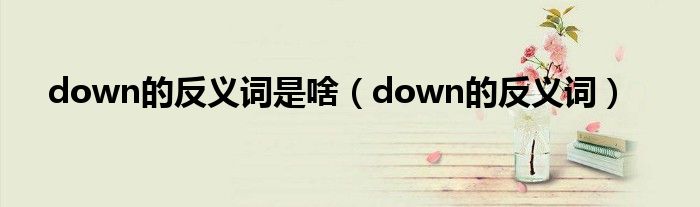 down的反义词是啥（down的反义词）