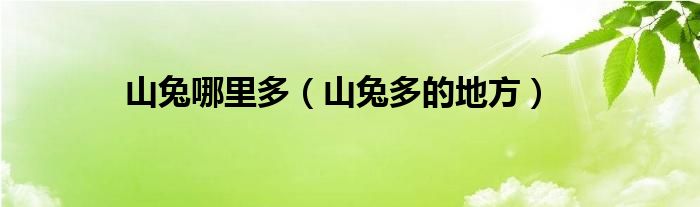 山兔哪里多（山兔多的地方）