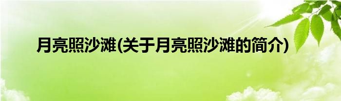月亮照沙滩(关于月亮照沙滩的简介)